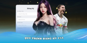 quy-trinh-dang-ky-c54-chi-tiet-nhat