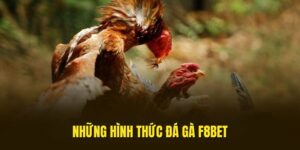 da-ga-f8bet-hinh-thuc