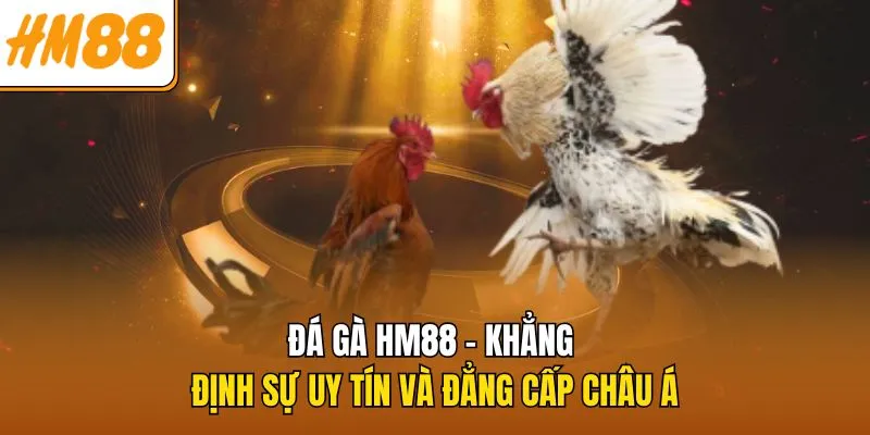 Đá Gà HM88 – Khẳng Định Sự Uy Tín Và Đẳng Cấp Châu Á