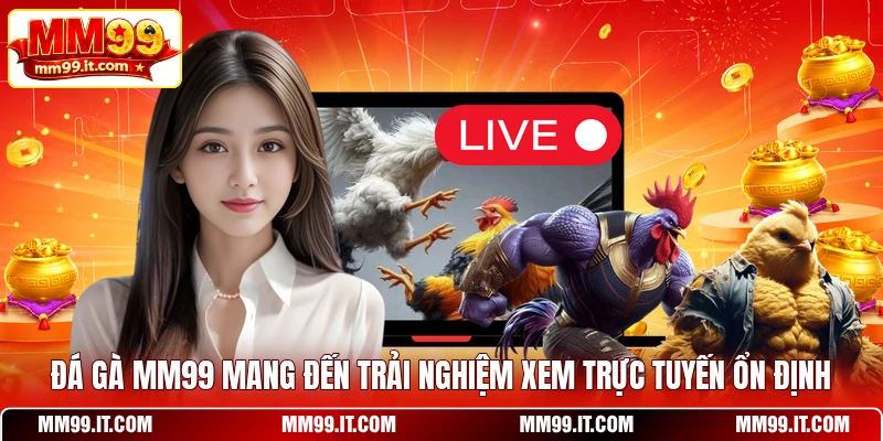 Đá Gà MM99 Trải Nghiệm Giải Trí Đỉnh Cao Hiện Nay 2026 1 Đá gà MM99 mang đến trải nghiệm xem trực tuyến ổn định